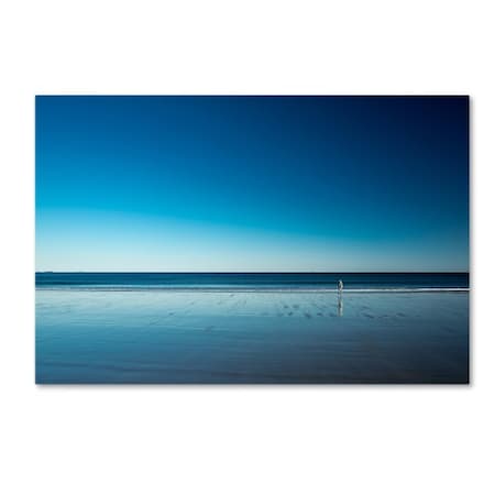 Trademark Fine Art Harmeet Marwaha 'The Blues' Canvas Art, 22x32 1X02403-C2232GG